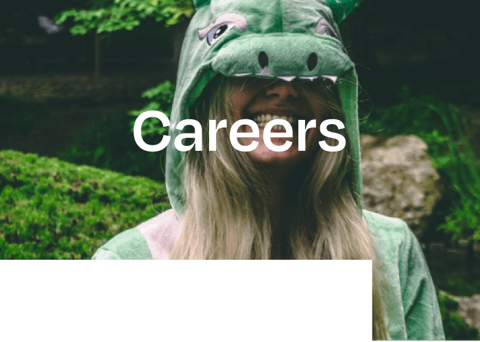 Careers in video