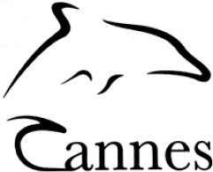 award-dolphin-new