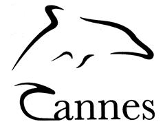 Cannes Dolphins Corporate Film Awards logo