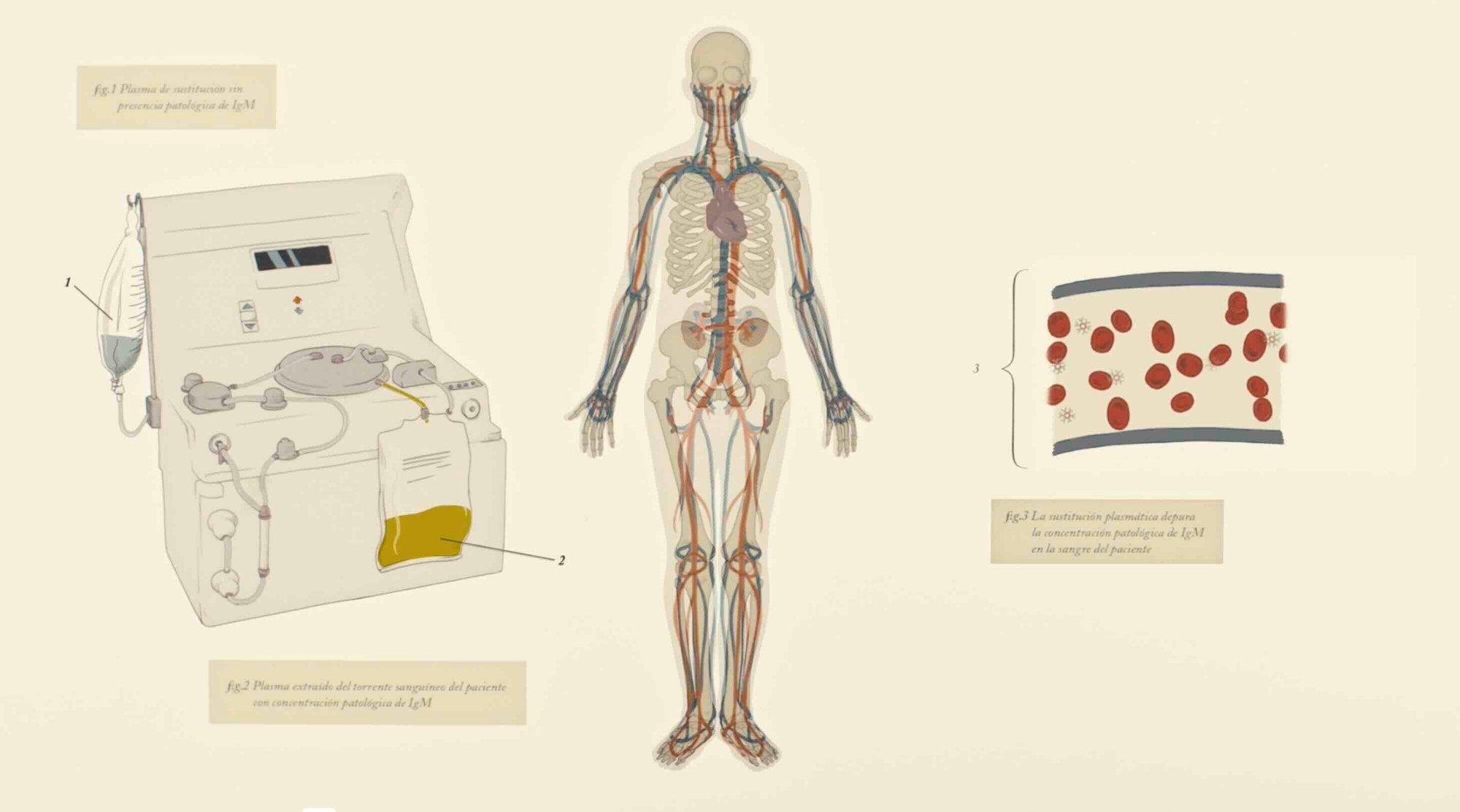David Healthcare Page - 2
