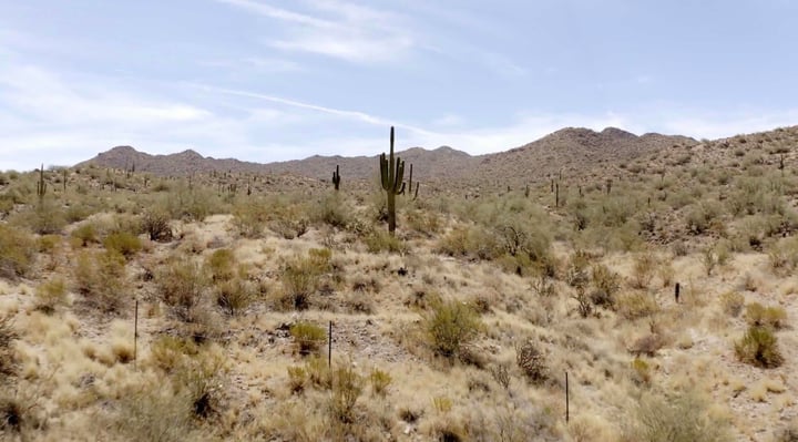 Intel water restoration film still