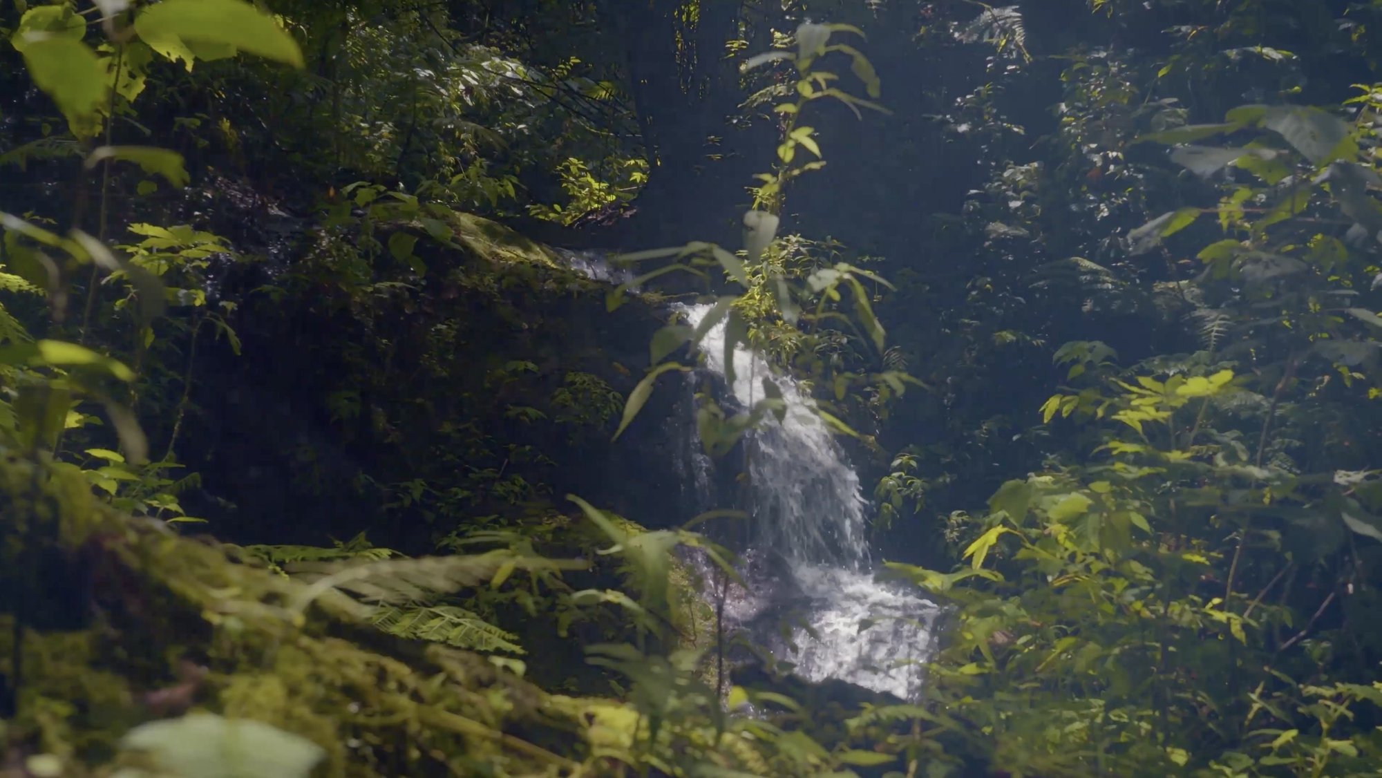 Intel Costa Rica Thumbnail