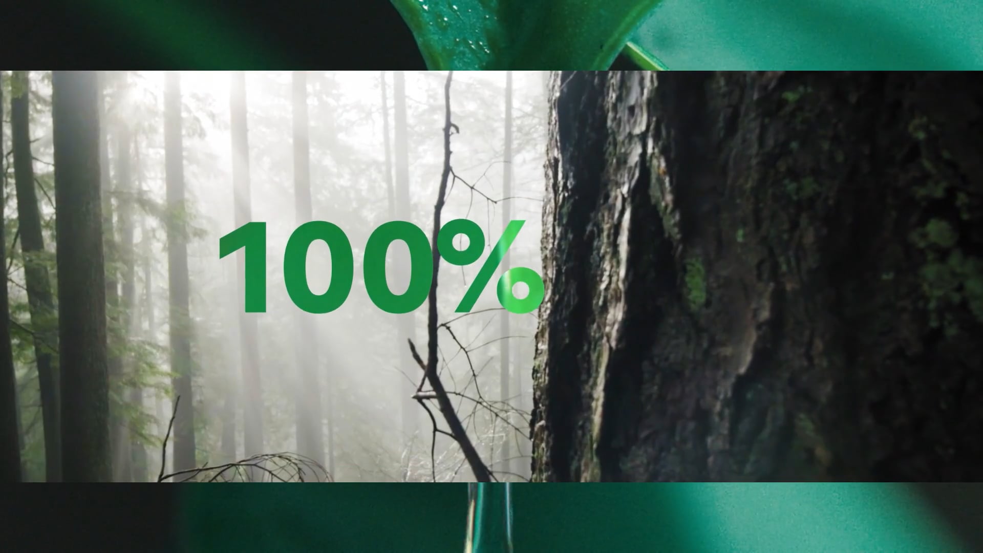 Sustainability Video