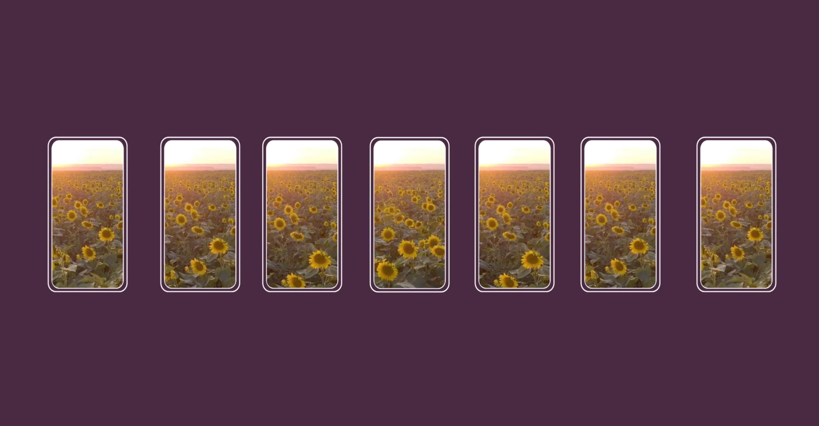 Aspect ratios for social media