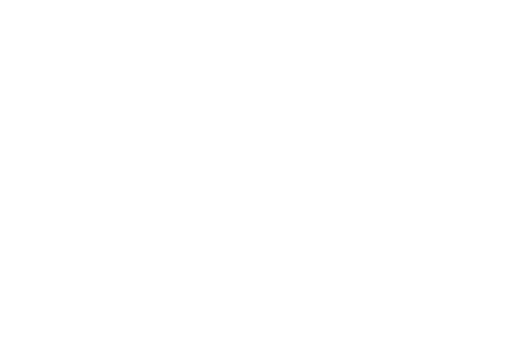 Cannes Dolphins