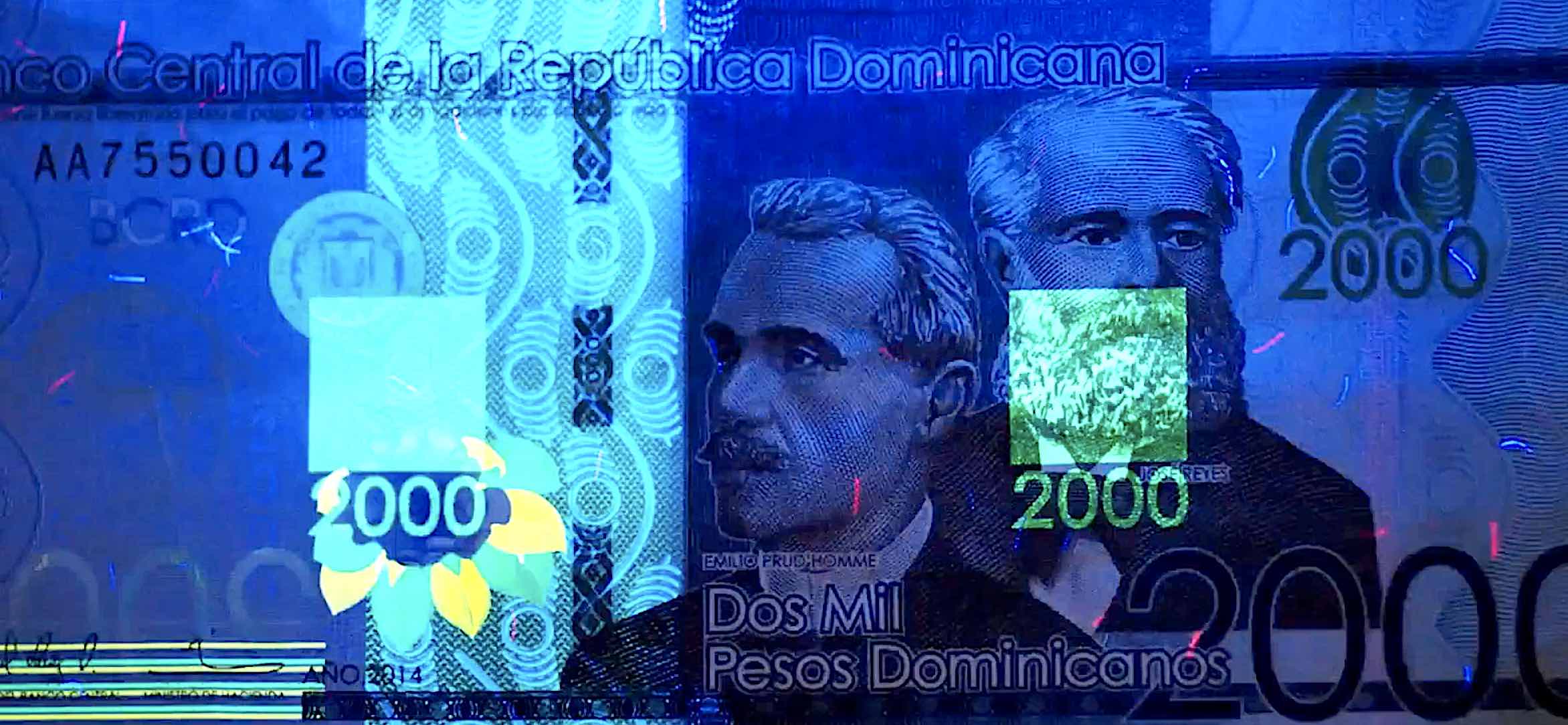Money Money-1