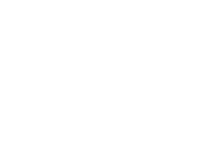 NY Festivals