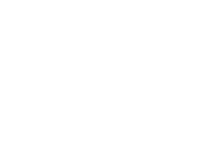 Telly Awards