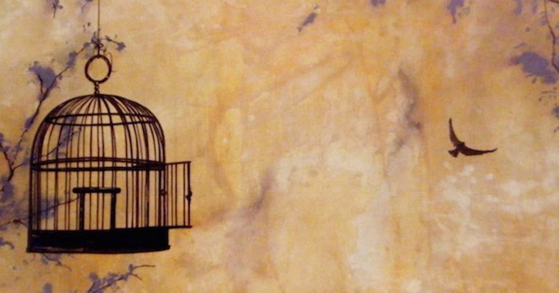 bird-escape-cage-1-1